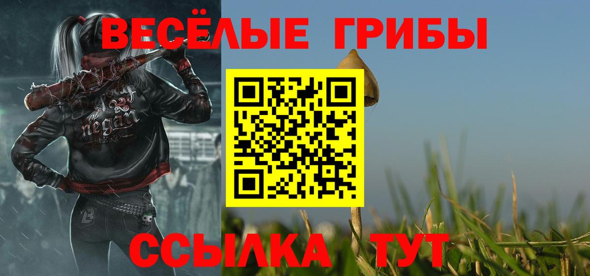 Псилоцибиновые грибы Psilocybine cubensis Волгодонск